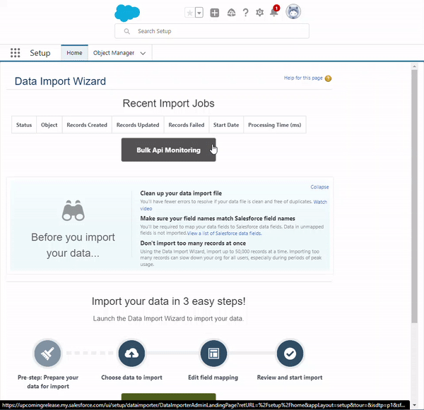 DataImpWiz.gif